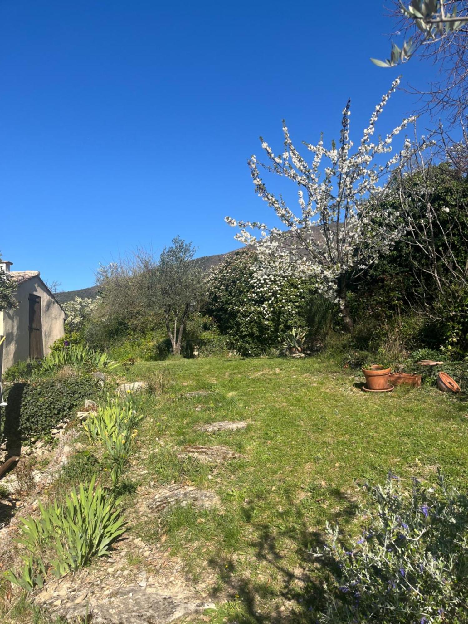 Cabanon Entoure De Montagnes Et D'Oliviers Vila Nyons Exterior foto